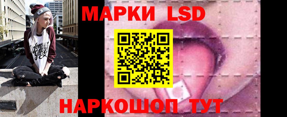 Людиново  ЛСД экстази ecstasy  Вход с VPN 